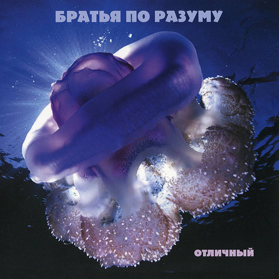 Братья По Разуму – Отличный